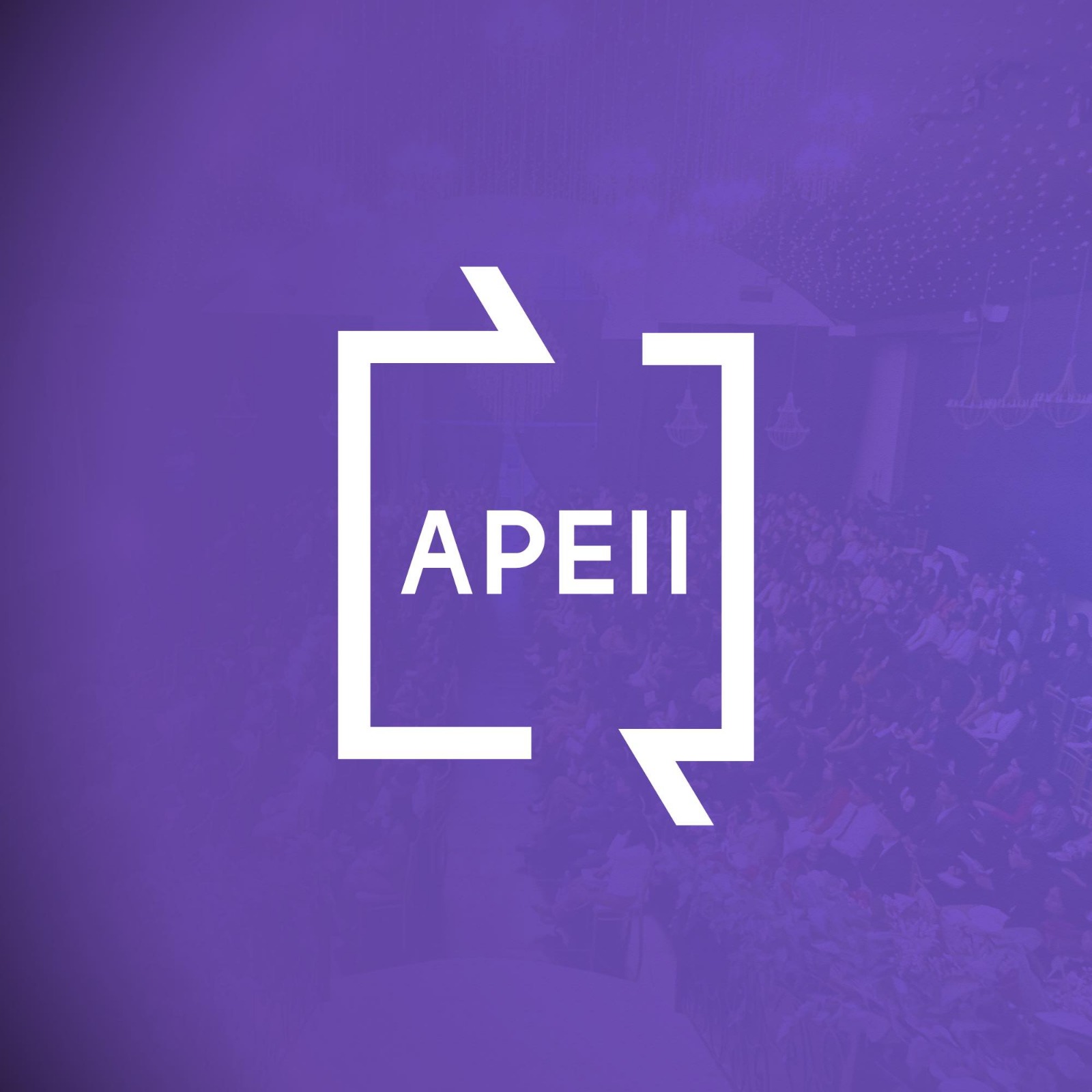 WhatsApp Image 2026-01-16 at 11.47.16 AM